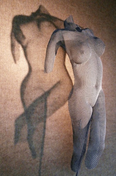 Valeries wire mesh
                  shadow sculpture with shadow