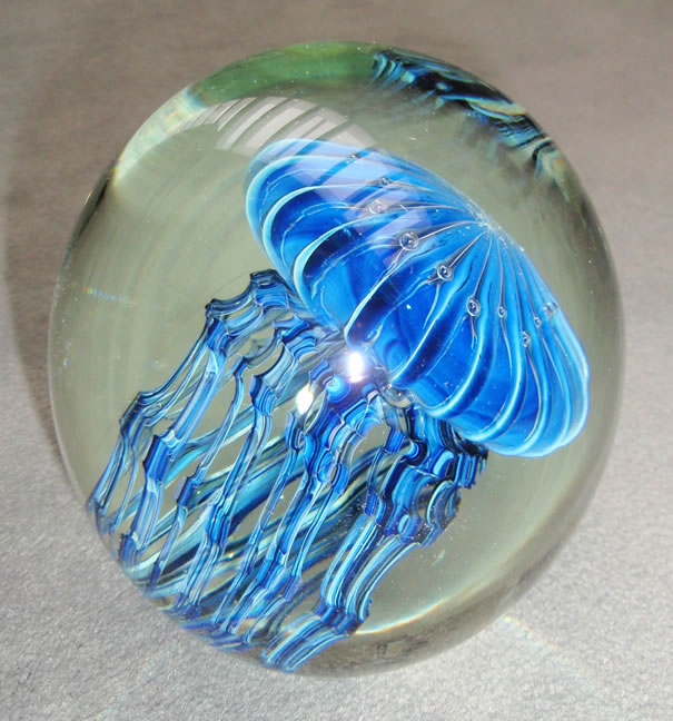 Round
                    jellyfish