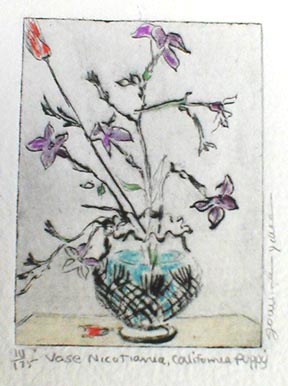 Vase Nicotiania California Poppy