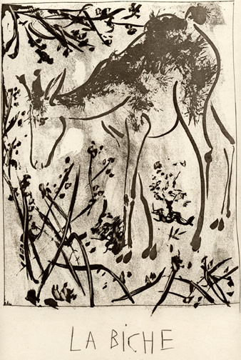 Deer
                      etching from 1936