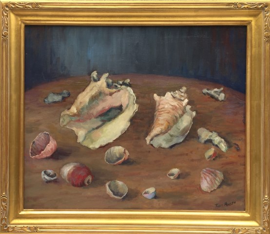 Arrangement of Sea Shells on a Table