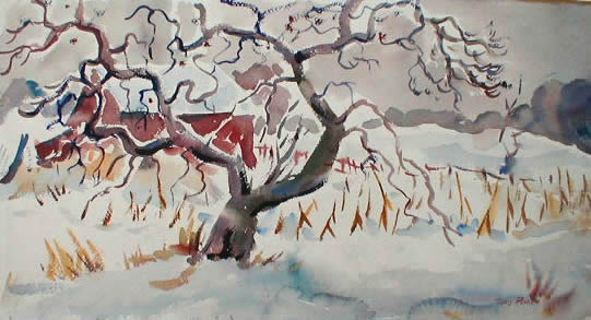 Old Apple Tree In Winter
