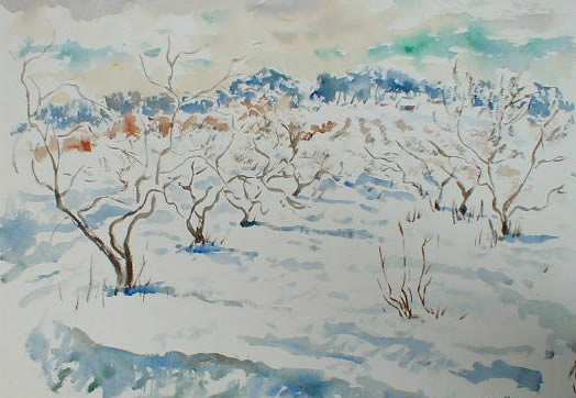 Orchard Trees In Winter With Farm Buildings In
                    Distance