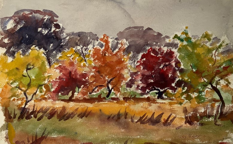 Orchard Trees in Fall Hues