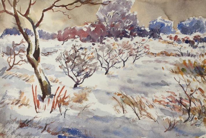 Orchard Trees in Winter Snow